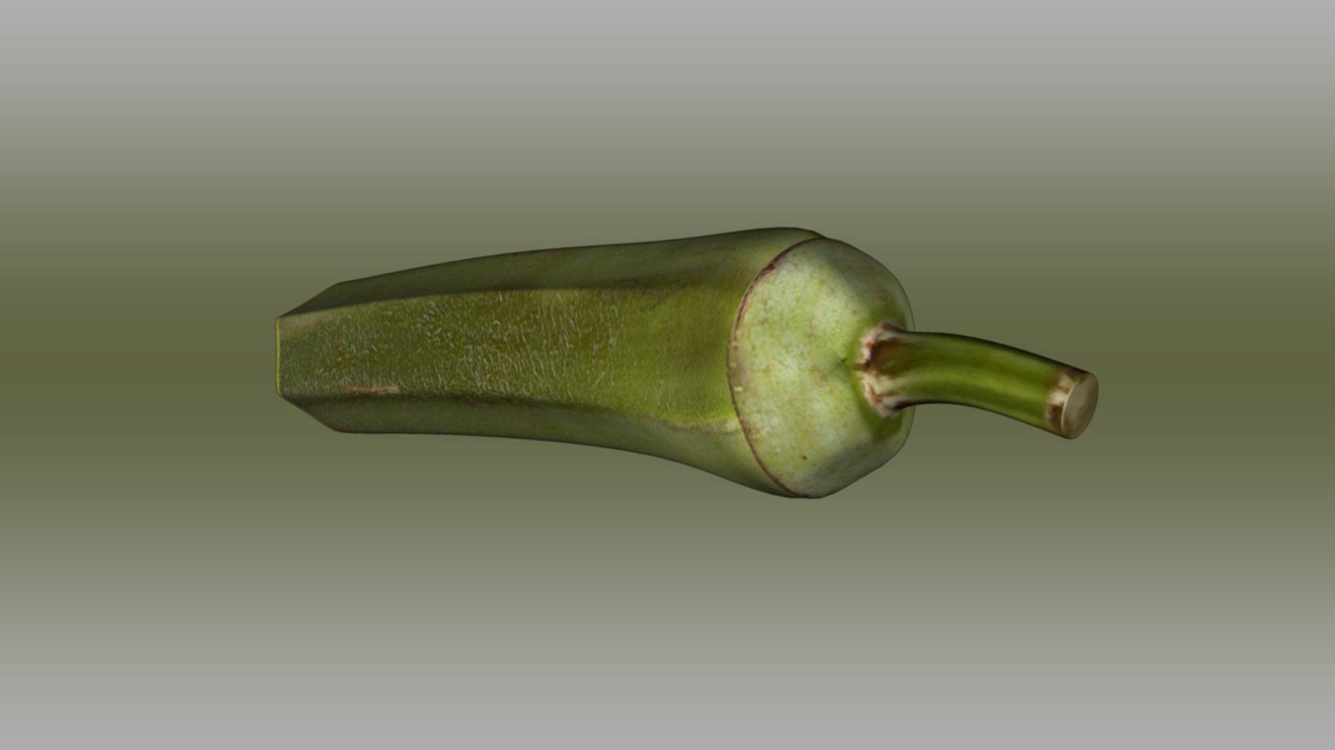 okra abelmoschus esculentus half 3d ma https://p.turbosquid.com/ts-thumb/Kb/9oW8yi/ibFXs7I8/abelmoschusesculentushalf_05/jpg/1417157074/1920x1080/fit_q87/fbcb8868faab97098c24c9290e3a808913937413/abelmoschusesculentushalf_05.jpg