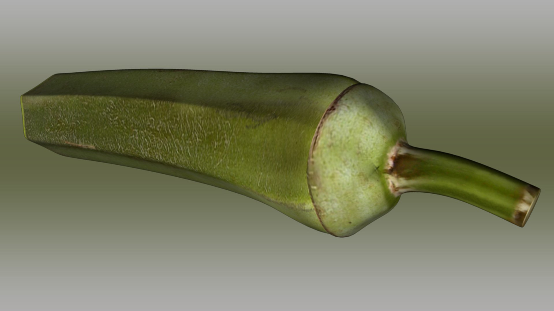 okra abelmoschus esculentus half 3d ma https://p.turbosquid.com/ts-thumb/Kb/9oW8yi/pxJd9vlh/abelmoschusesculentushalf_03/jpg/1417157074/1920x1080/fit_q87/c4b8220b645411da53848c989ae27e8777460e51/abelmoschusesculentushalf_03.jpg