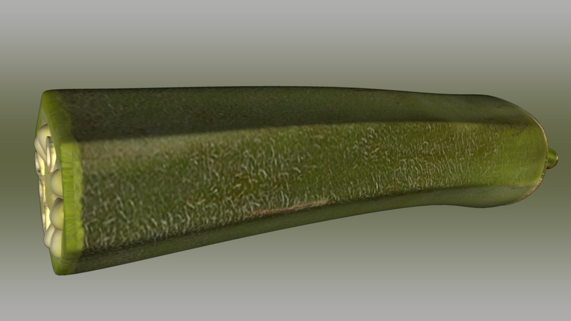 okra abelmoschus esculentus half 3d ma https://p.turbosquid.com/ts-thumb/Kb/9oW8yi/ybwZR6CO/abelmoschusesculentushalf_02/jpg/1417157051/1920x1080/fit_q87/70008709c4d17a7d2275d660c414bdc4183cef08/abelmoschusesculentushalf_02.jpg