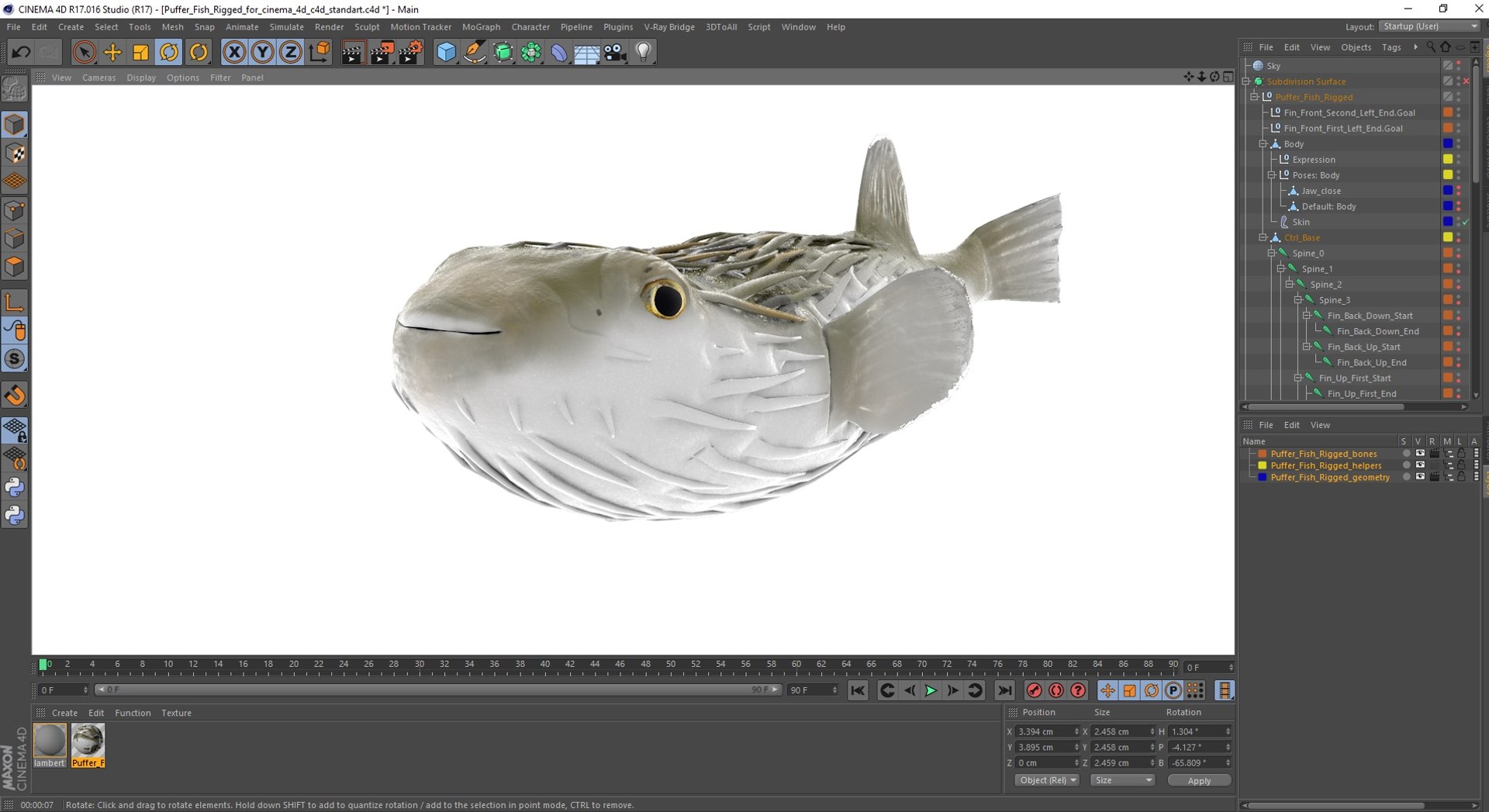 3D model Puffer Fish Rigged for Cinema 4D https://p.turbosquid.com/ts-thumb/Kb/Ae2Irq/Zp/pufferfishriggedforcinema4dvray3dmodel034/jpg/1708215263/1920x1080/fit_q87/c08a37fafb639c3d0b738115d1dfc06fce2ad77e/pufferfishriggedforcinema4dvray3dmodel034.jpg