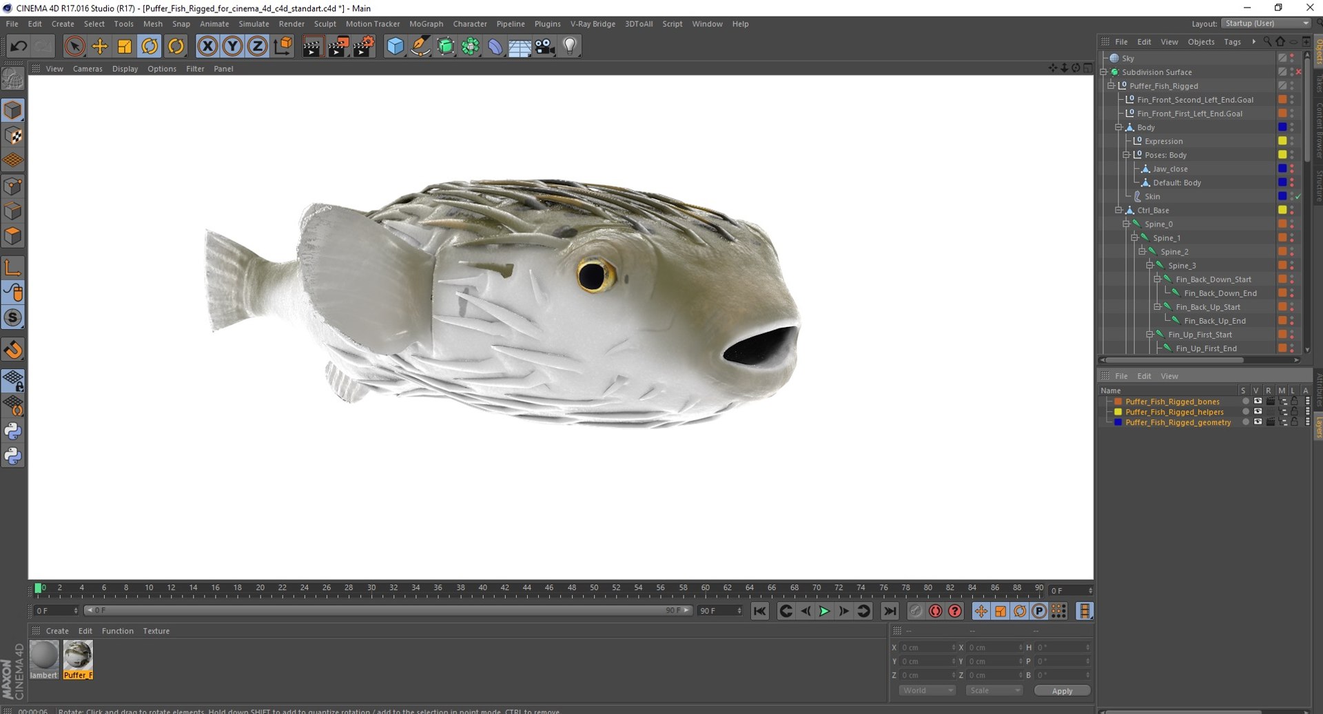 3D model Puffer Fish Rigged for Cinema 4D https://p.turbosquid.com/ts-thumb/Kb/Ae2Irq/iC/pufferfishriggedforcinema4dvray3dmodel031/jpg/1708215249/1920x1080/fit_q87/d53d291ec2f0d888335c65abd9019170841dc45b/pufferfishriggedforcinema4dvray3dmodel031.jpg