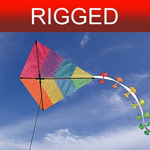 kite rigged 3d model