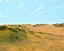 scene desert terrain landscapes 3d model
