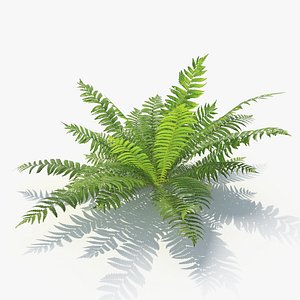 3D 02 leaves v-ray