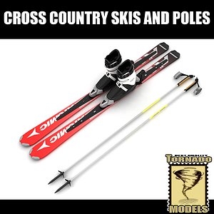 3d model skis boots poles
