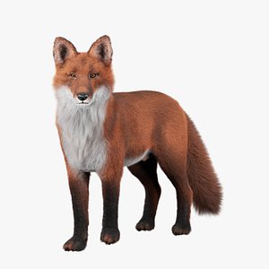 3D Fox Rigged 3D Model