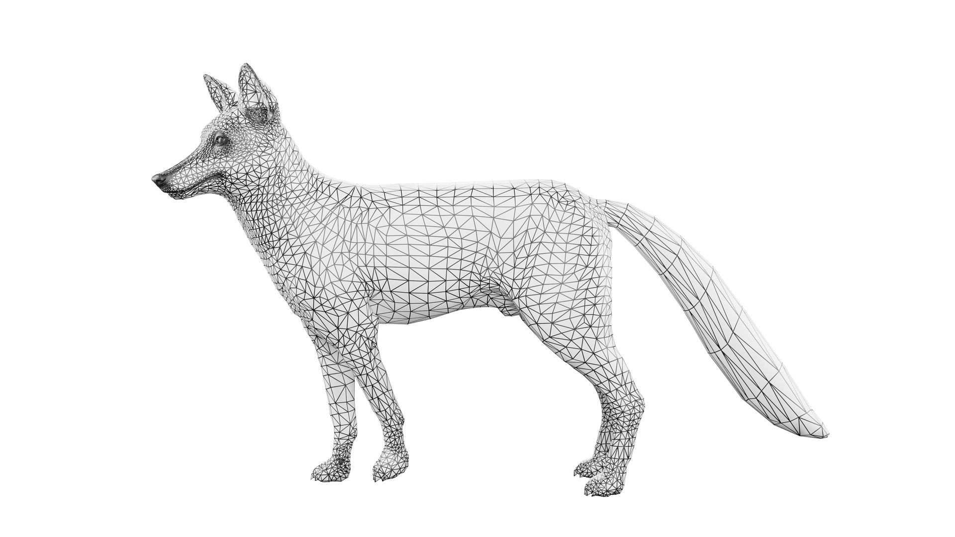 3D Fox Rigged 3D Model - TurboSquid 2264678
