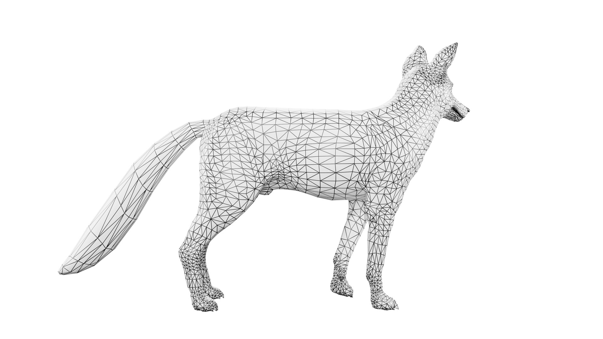 3D Fox Rigged 3D Model - TurboSquid 2264678