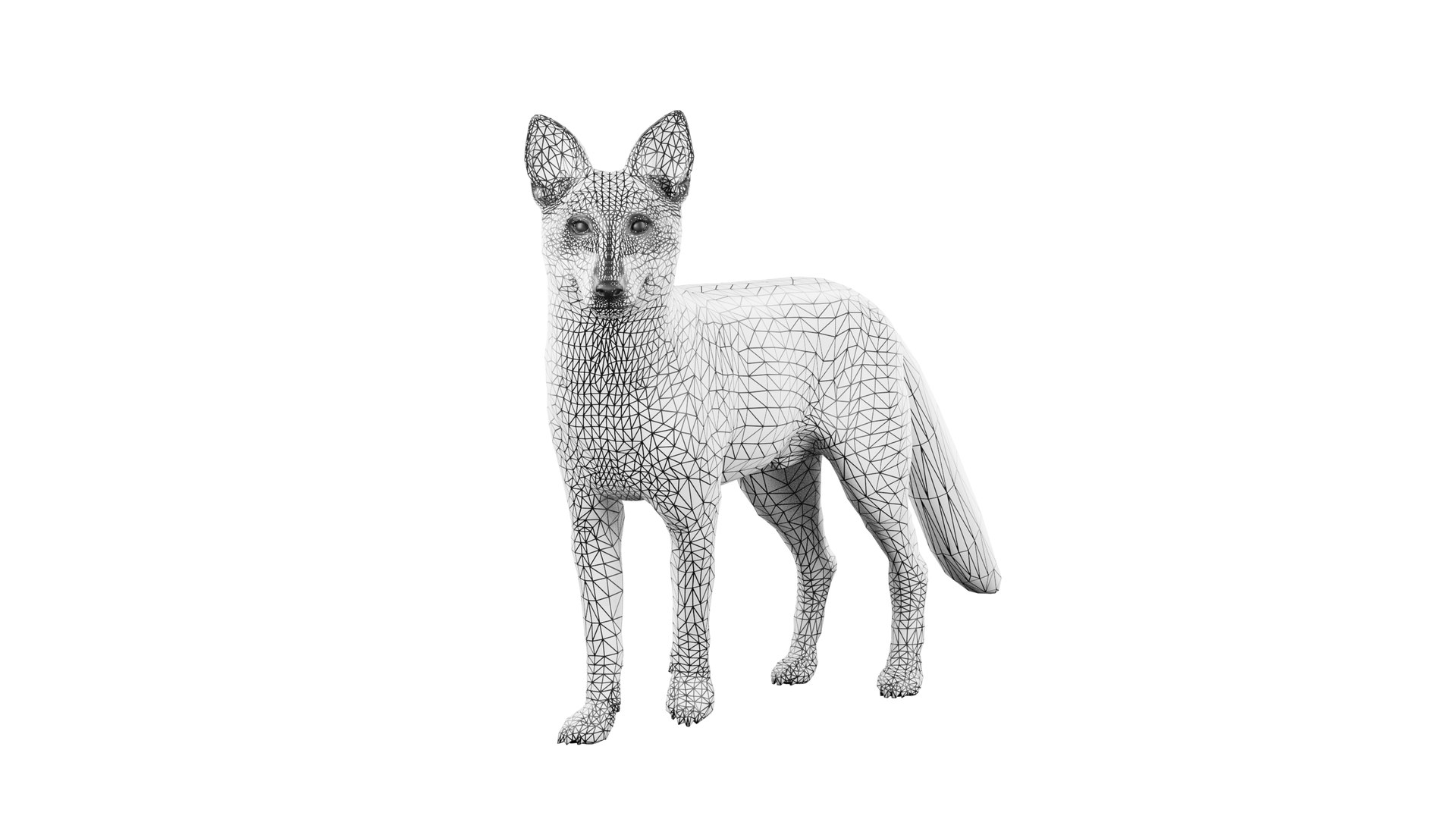 3D Fox Rigged 3D Model - TurboSquid 2264678