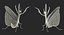 3D european mantis rigged fur model
