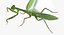 3D european mantis rigged fur model