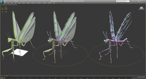 3D european mantis rigged fur model - TurboSquid 1270856