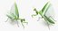 3D european mantis rigged fur model