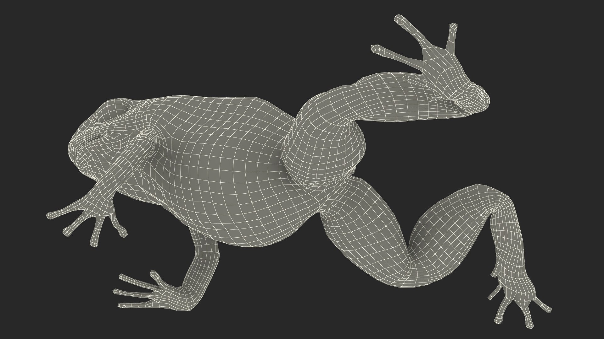 Poison Arrow Frog Green Morph Crawling Pose model https://p.turbosquid.com/ts-thumb/Kb/nuAF2T/KF/poisonarrowfroggreenmorphcrawlingpose3dsmodel029/jpg/1707521305/1920x1080/fit_q87/2df3402dbbe7a70fd5292eadf0da36d7d135d5b1/poisonarrowfroggreenmorphcrawlingpose3dsmodel029.jpg