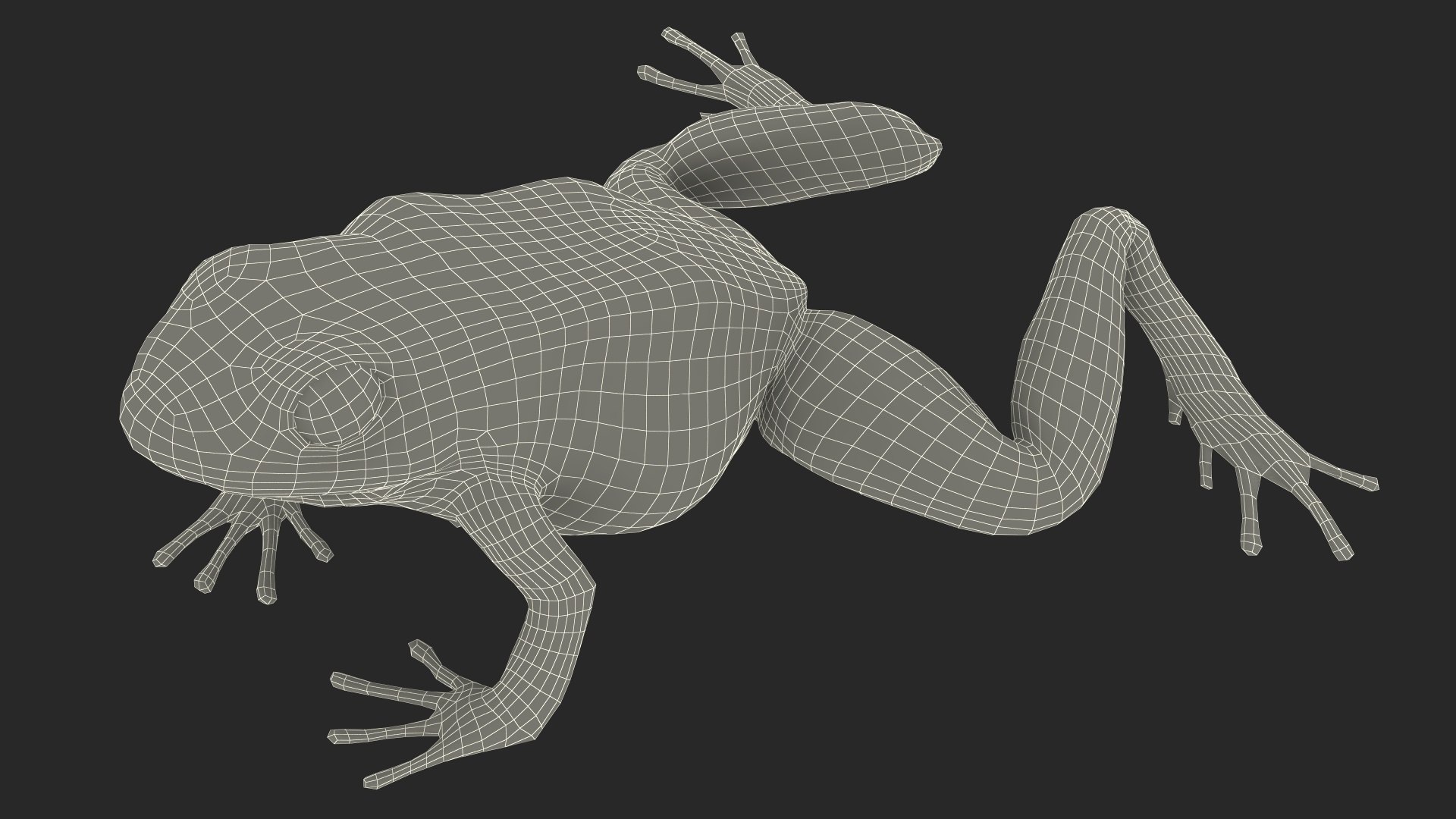 Poison Arrow Frog Green Morph Crawling Pose model https://p.turbosquid.com/ts-thumb/Kb/nuAF2T/dg/poisonarrowfroggreenmorphcrawlingpose3dsmodel026/jpg/1707521293/1920x1080/fit_q87/d38b1e76ff40ed6dd688f6fb0bf5e1dad30d4fb2/poisonarrowfroggreenmorphcrawlingpose3dsmodel026.jpg