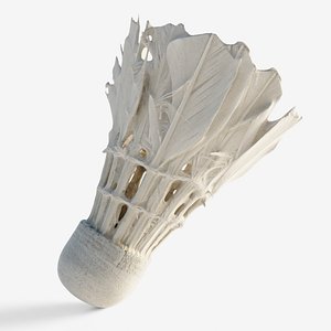 3D Scanned badminton shuttlecock model