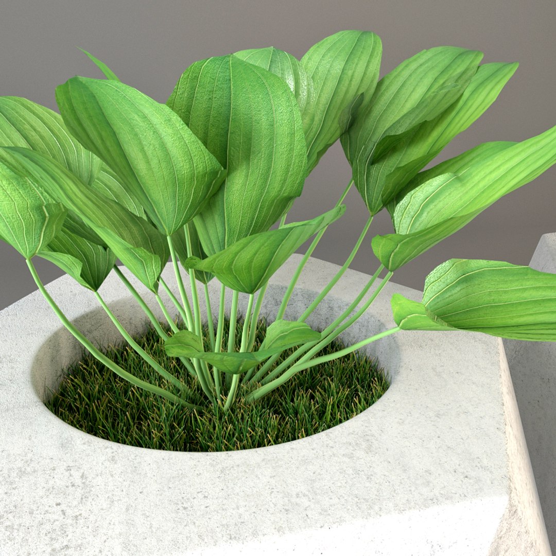 3D plant pot https://p.turbosquid.com/ts-thumb/Kb/pFbCNX/7ERIqAoW/render02/jpg/1494851749/1920x1080/fit_q87/d21c627209542f9d3da4e1a8220d6ff5533ad183/render02.jpg