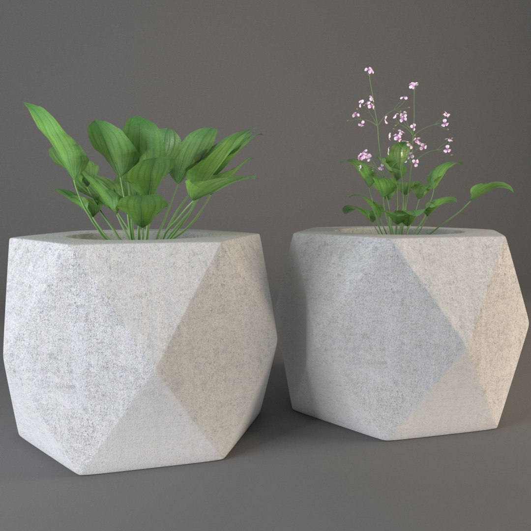 3D plant pot https://p.turbosquid.com/ts-thumb/Kb/pFbCNX/HBMylfL2/render_03/jpg/1494851749/1920x1080/fit_q87/702a3f3563a342ca2e3457635c5c4bb8e0d10d23/render_03.jpg