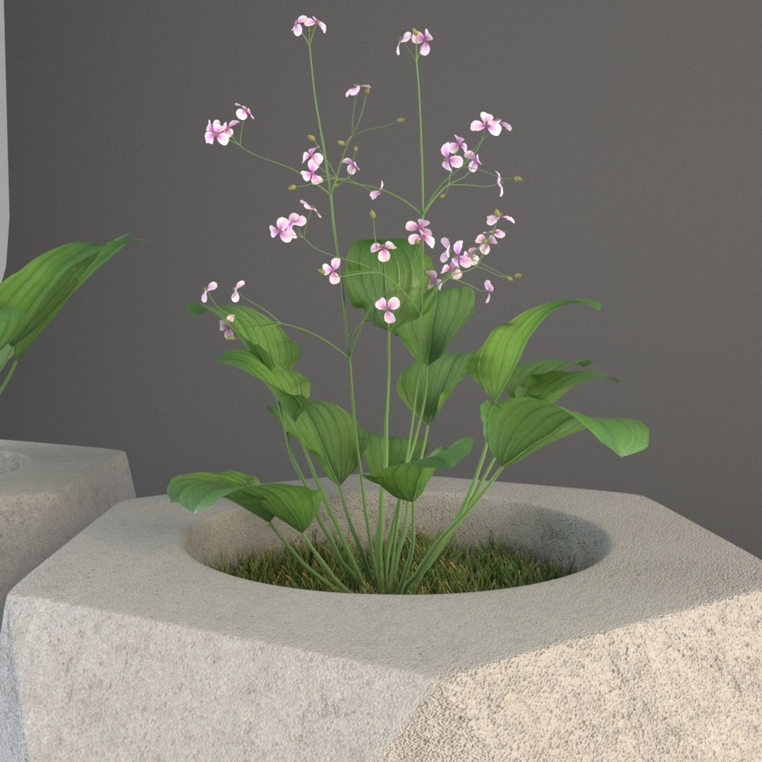3D plant pot https://p.turbosquid.com/ts-thumb/Kb/pFbCNX/hfaQIWUV/render_04/jpg/1494851749/1920x1080/fit_q87/a89470a79ee9e7125df00fe0a195e76ae97fb456/render_04.jpg