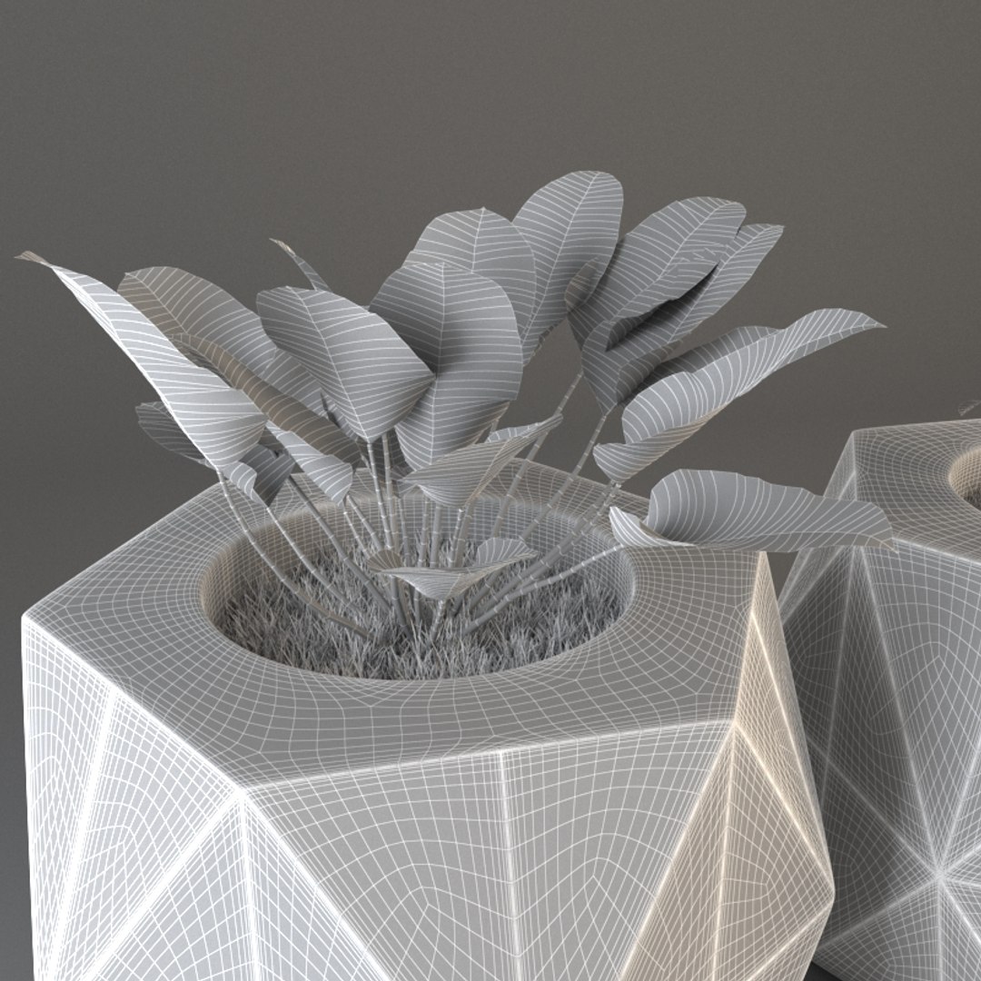 3D plant pot https://p.turbosquid.com/ts-thumb/Kb/pFbCNX/wUlxLwLl/wireframe02/jpg/1494851759/1920x1080/fit_q87/998e3f5161148c9a04e26eb6cab36851bca5e8f8/wireframe02.jpg