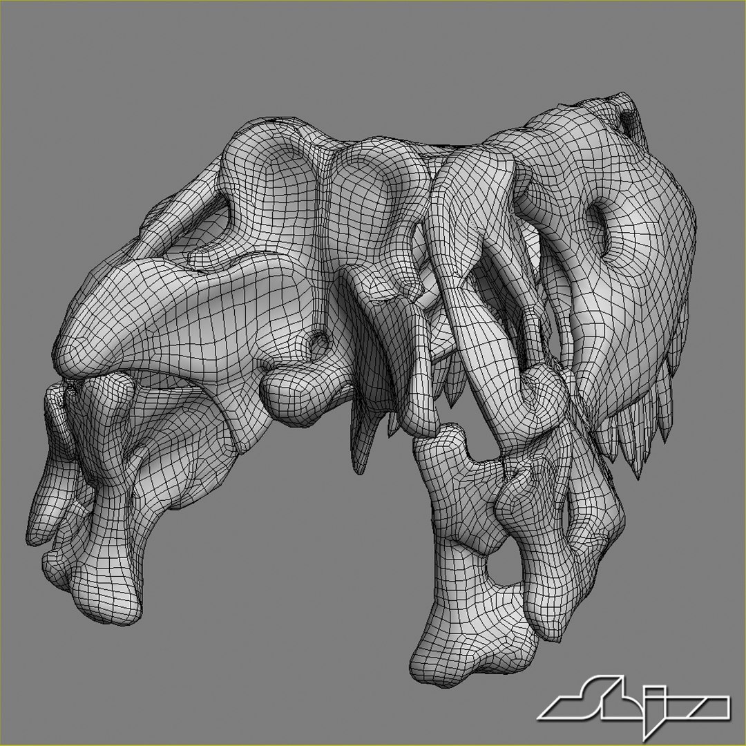 dino skull 3d max https://p.turbosquid.com/ts-thumb/Kb/xt0cyF/Cw5W0uKl/dinohead_wire3/jpg/1299082549/1920x1080/fit_q87/5d605b34d363b3067b76a6f0ac173825e41f67de/dinohead_wire3.jpg