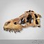 Dino Skull