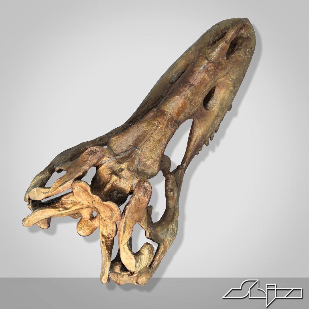 Dino Skull 3d Max