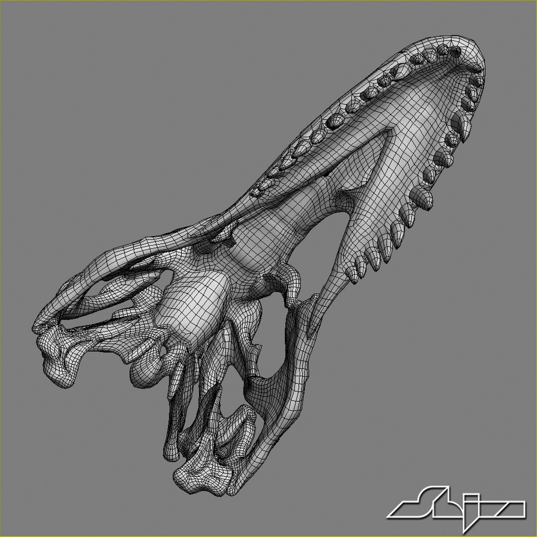 dino skull 3d max https://p.turbosquid.com/ts-thumb/Kb/xt0cyF/nqYJs0mE/dinohead_wire2/jpg/1299082549/1920x1080/fit_q87/3e144d8a83326e42bd4d7b2b100df4514d8f6600/dinohead_wire2.jpg
