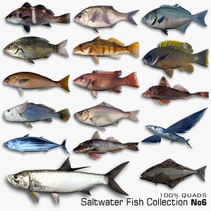 Saltwater Fish Colection 6 3D model