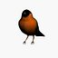 bird max