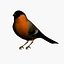 bird max