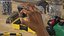 Dark Skinned Man Hand OK Pose