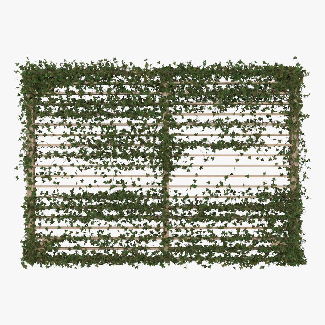 3D garden pergola ivy model https://p.turbosquid.com/ts-thumb/Kc/GXWJMF/B8c8MPP2/pergola_with_ivy_v2_07/jpg/1572212981/1920x1080/fit_q87/c3af61cf1e2373e6b70928c0e0bb5cc8ffcf2162/pergola_with_ivy_v2_07.jpg