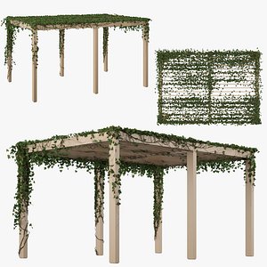 3D garden pergola ivy model