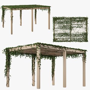 Pergola with Ivy