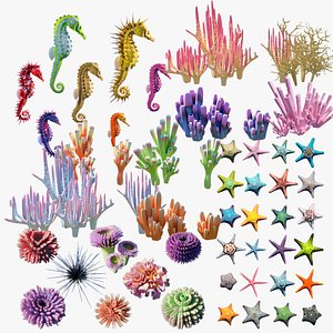 Coral and Reef Animals