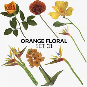 3D model orange floral set 01
