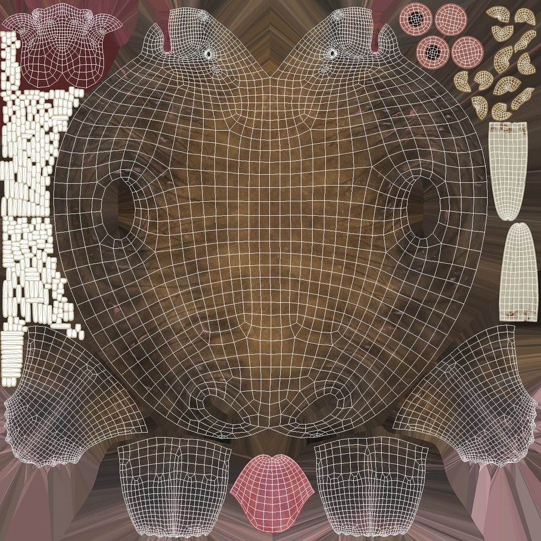 3D Walking Old Walrus model https://p.turbosquid.com/ts-thumb/Kc/NEyqoX/Cp/walking_old_walrus_016/jpg/1746144102/1920x1080/fit_q87/35ca1139fddbb974336024eda1138ae49033d09b/walking_old_walrus_016.jpg