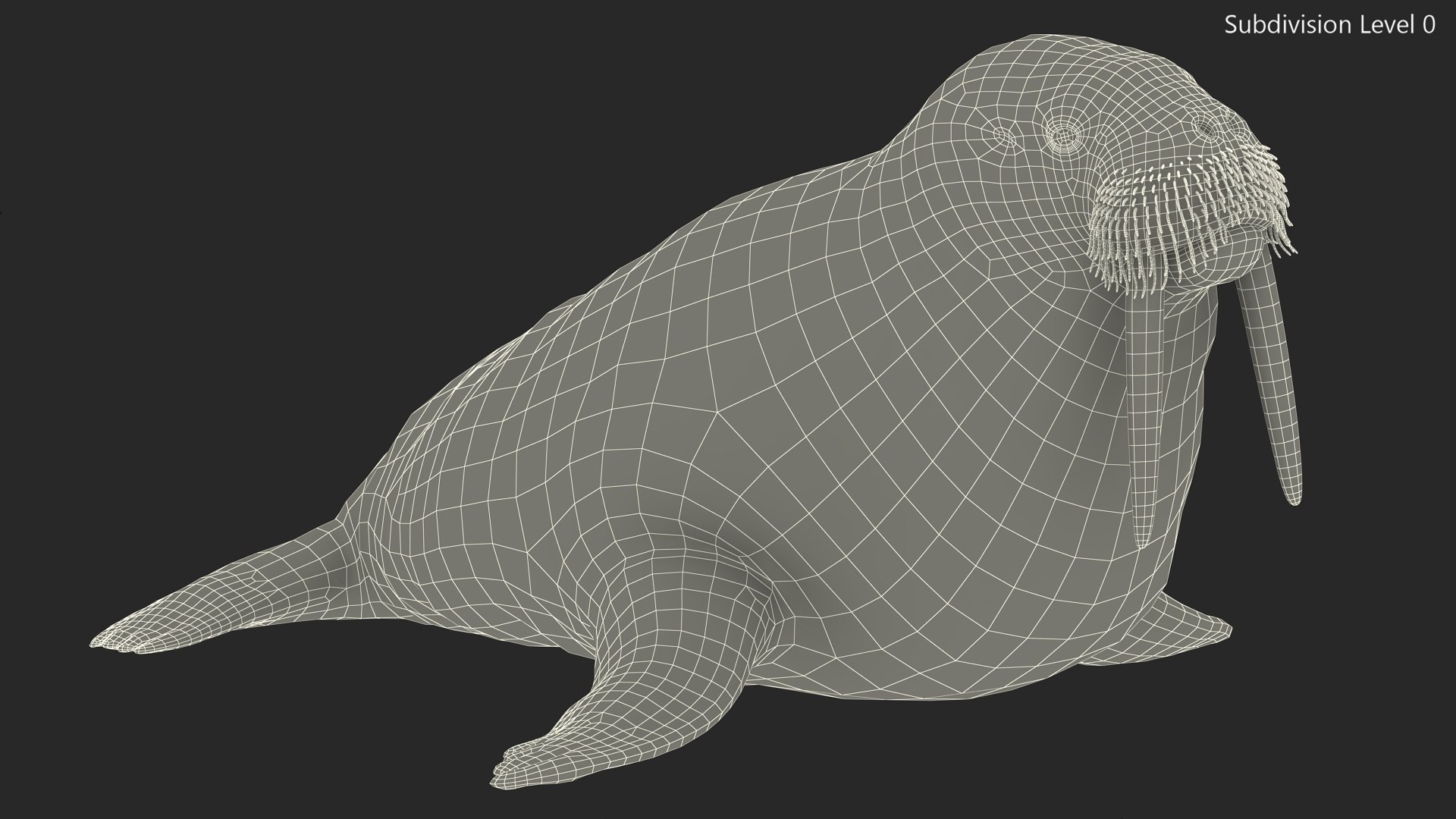 3D Walking Old Walrus model https://p.turbosquid.com/ts-thumb/Kc/NEyqoX/OA/walking_old_walrus_014/jpg/1746144097/1920x1080/fit_q87/20dc214b1868e20c96ac8956ea8a270b52395e48/walking_old_walrus_014.jpg