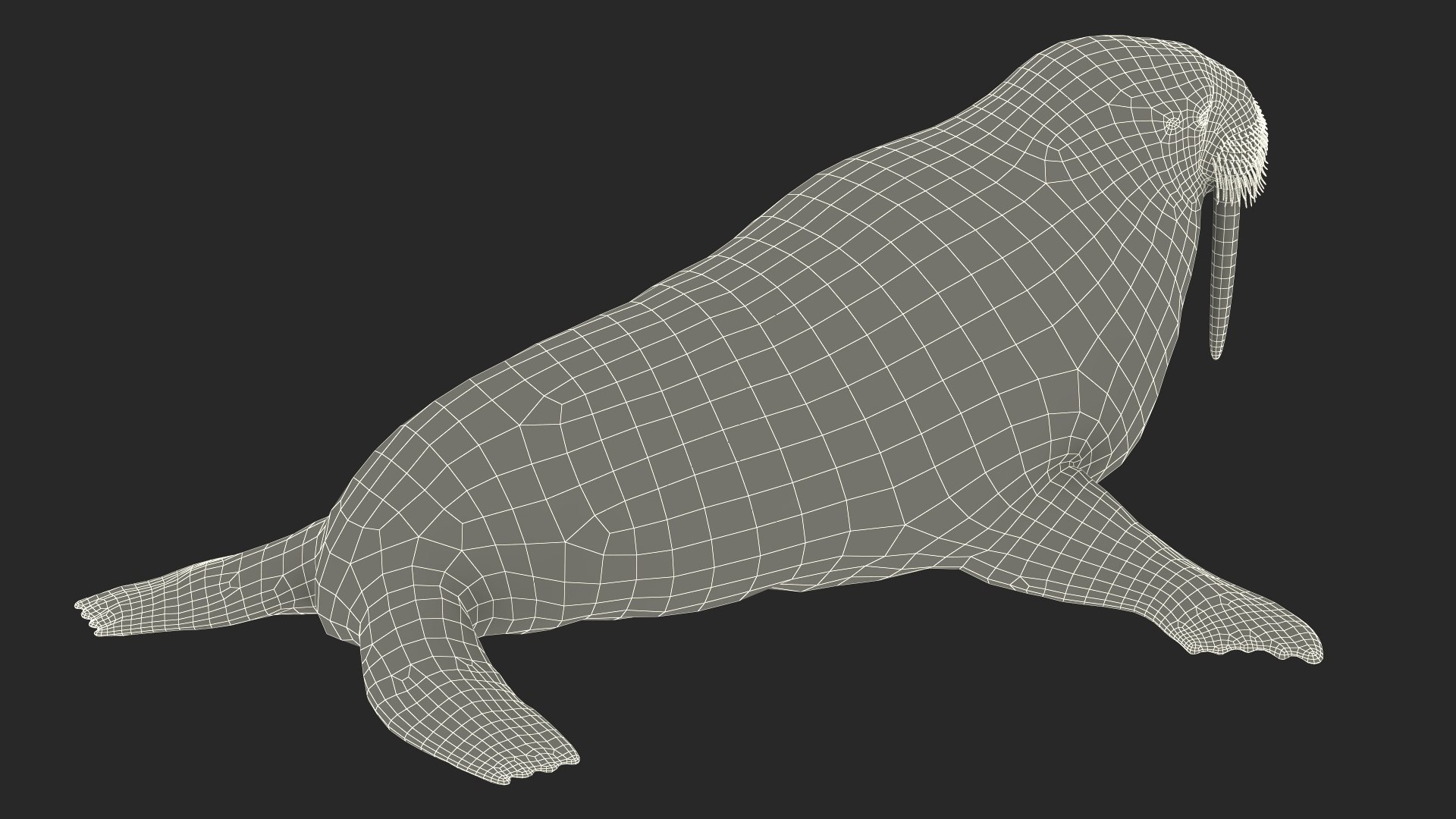 3D Walking Old Walrus model https://p.turbosquid.com/ts-thumb/Kc/NEyqoX/Ps/walking_old_walrus_020/jpg/1746144112/1920x1080/fit_q87/1d489eb67afab9b9a8d10d8151ff5076b14147a8/walking_old_walrus_020.jpg