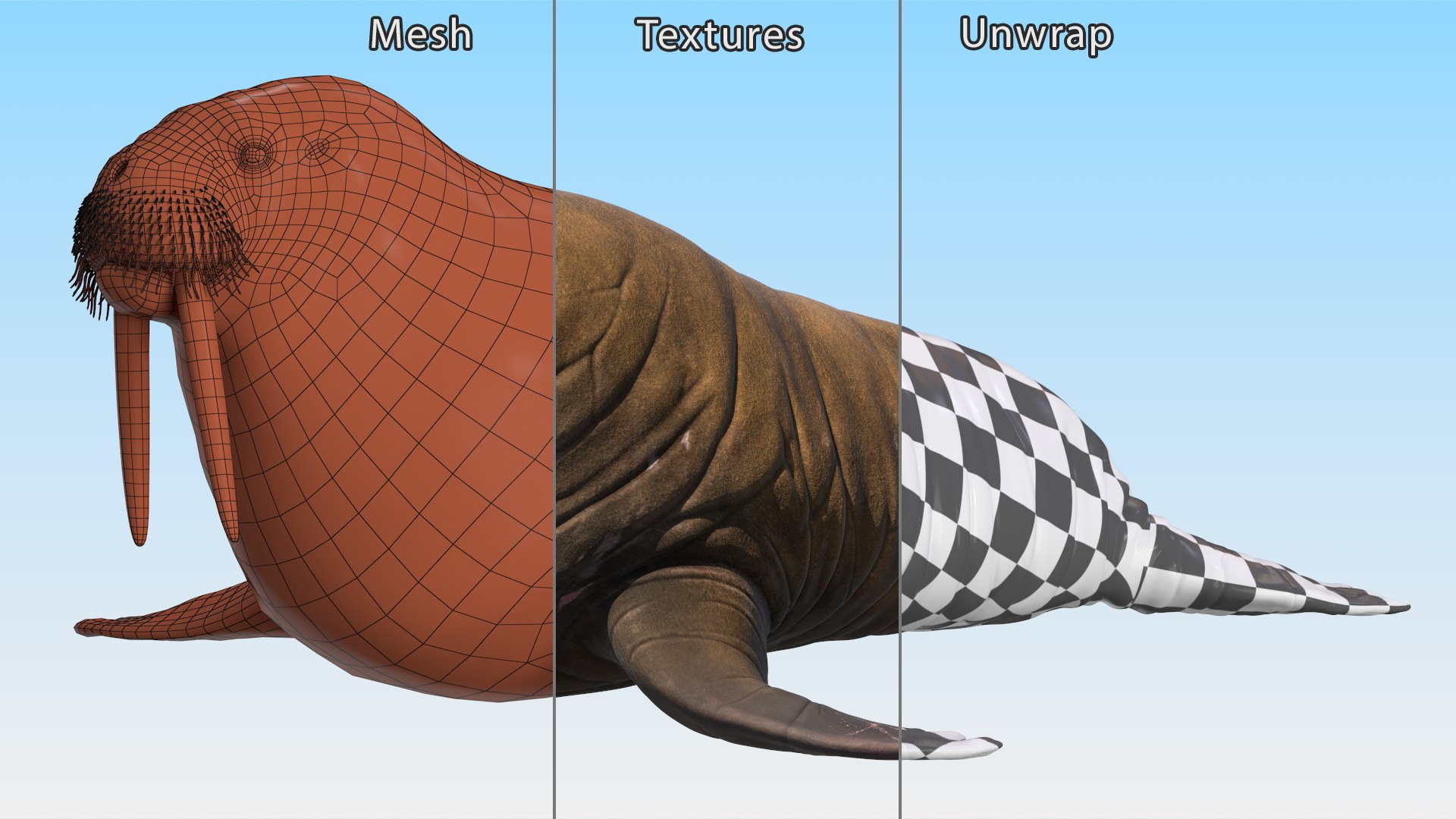 3D Walking Old Walrus model https://p.turbosquid.com/ts-thumb/Kc/NEyqoX/QS/walking_old_walrus_013/jpg/1746144095/1920x1080/fit_q87/67fc59a1629df8bd1021907cafab0dccf362ec41/walking_old_walrus_013.jpg