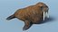 Walking Old Walrus