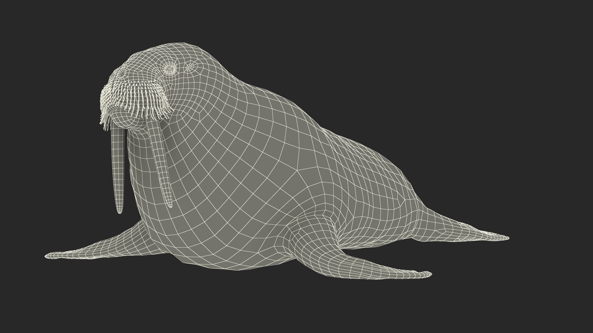 3D Walking Old Walrus model https://p.turbosquid.com/ts-thumb/Kc/NEyqoX/xN/walking_old_walrus_361/jpg/1746144009/1920x1080/turn_fit_q99/7d2cbf43c04eb886e1d2b3ab04218ee700a17c06/walking_old_walrus_361-1.jpg