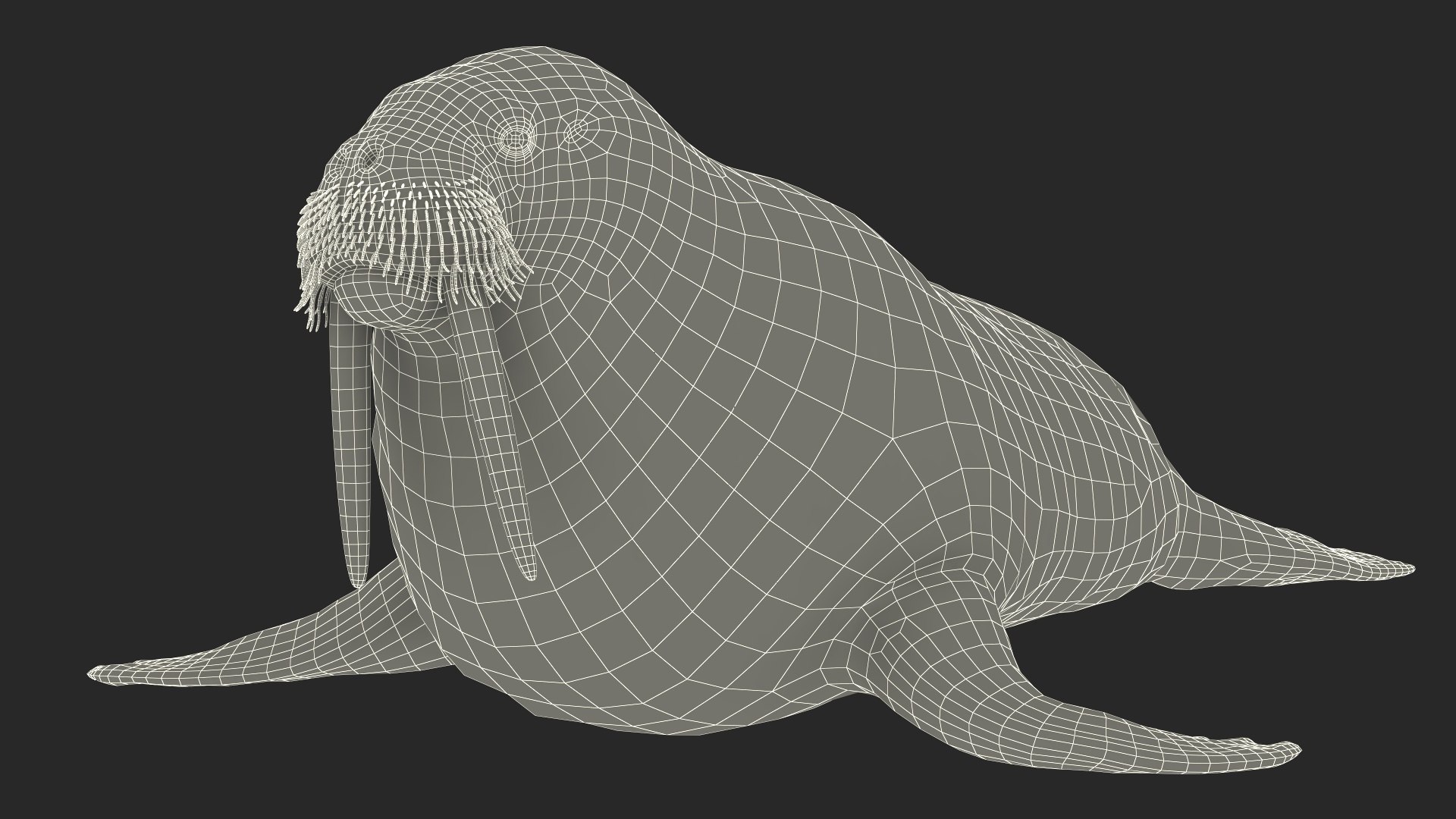 3D Walking Old Walrus model https://p.turbosquid.com/ts-thumb/Kc/NEyqoX/xu/walking_old_walrus_019/jpg/1746144109/1920x1080/fit_q87/40de51c01480210f9118826776cdccf920ece984/walking_old_walrus_019.jpg