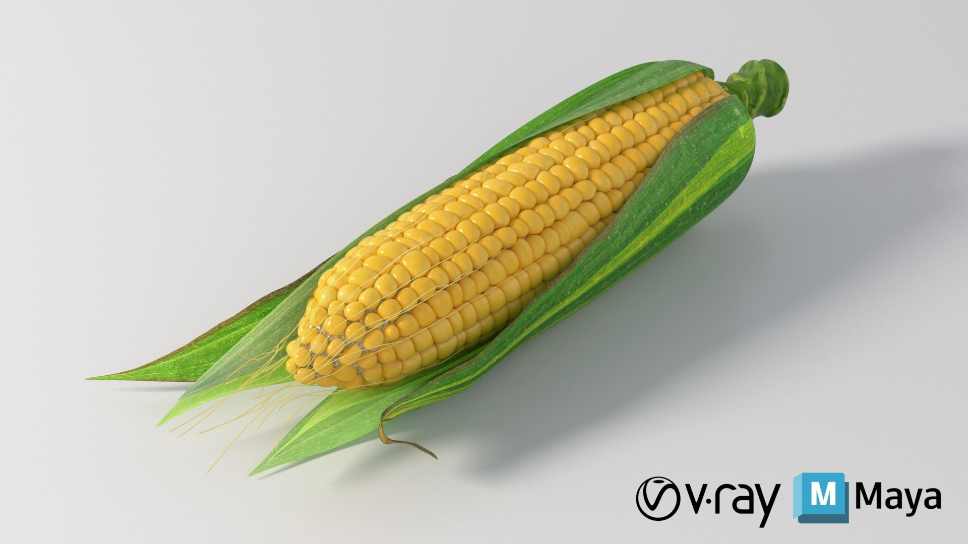 3ds max realistic corn real https://p.turbosquid.com/ts-thumb/Kc/OkO38g/Yn/nmodel_03_24_corn_conv_09_maya_vray/jpg/1775546352/1920x1080/fit_q87/7e08c91e2c1f48f1970db85b2a2022cf94d0e51b/nmodel_03_24_corn_conv_09_maya_vray.jpg