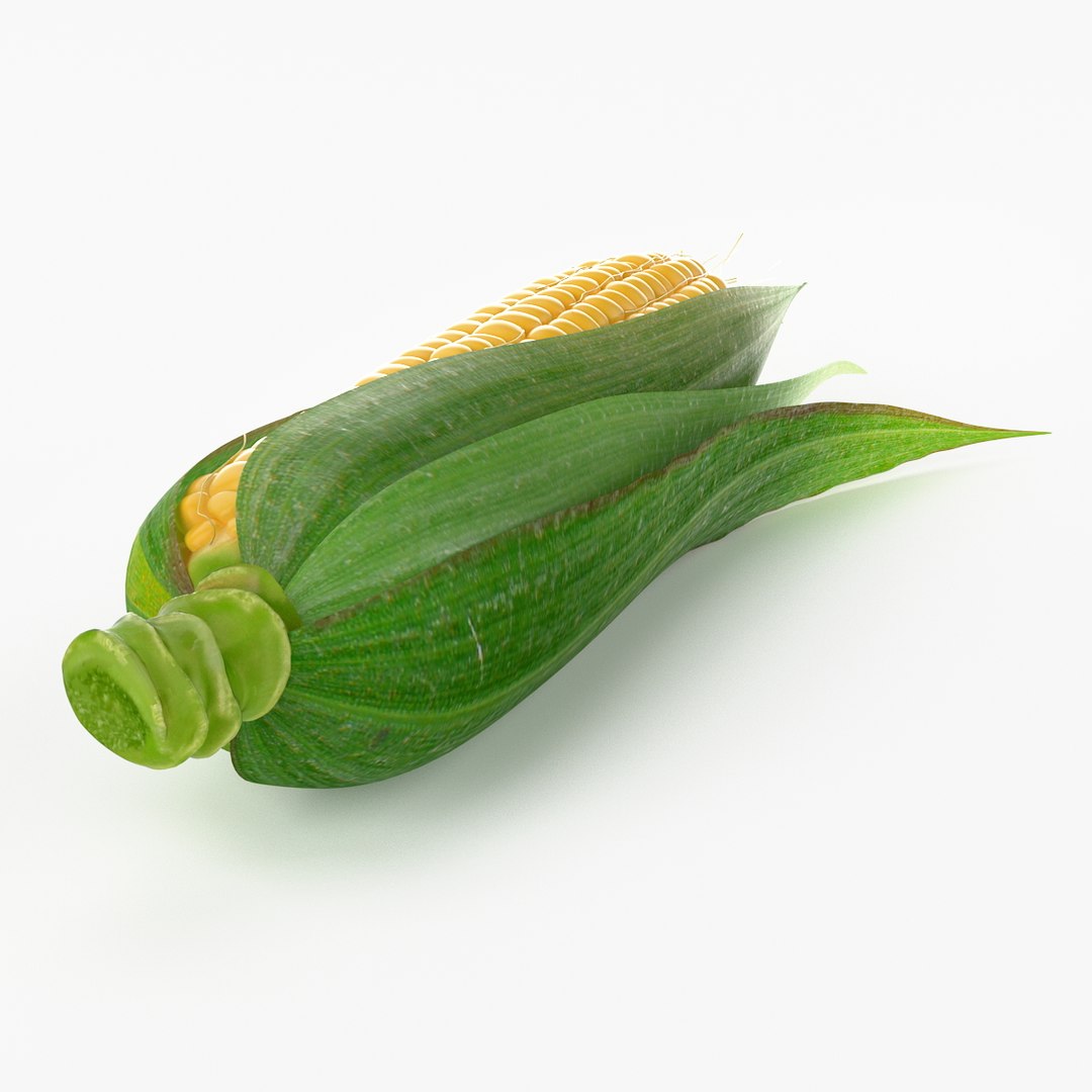3ds Max Realistic Corn Real
