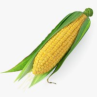 Realistic Corn