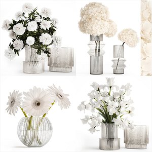 Set of bouquets Hydrangea Gerbera Peonies Iris vase 424 3D model