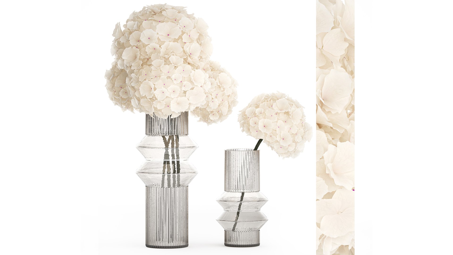 Set of bouquets Hydrangea Gerbera Peonies Iris vase 424 3D model https://p.turbosquid.com/ts-thumb/Kc/TO6Czy/uN/1bouquetset20042405/jpg/1714402935/1920x1080/fit_q87/0172ddffcfb8ee40373a785887315b4e4b946081/1bouquetset20042405.jpg