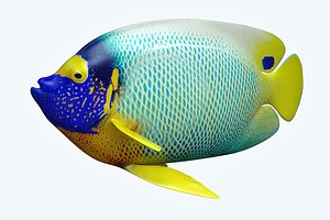 3D angle fish 16 model